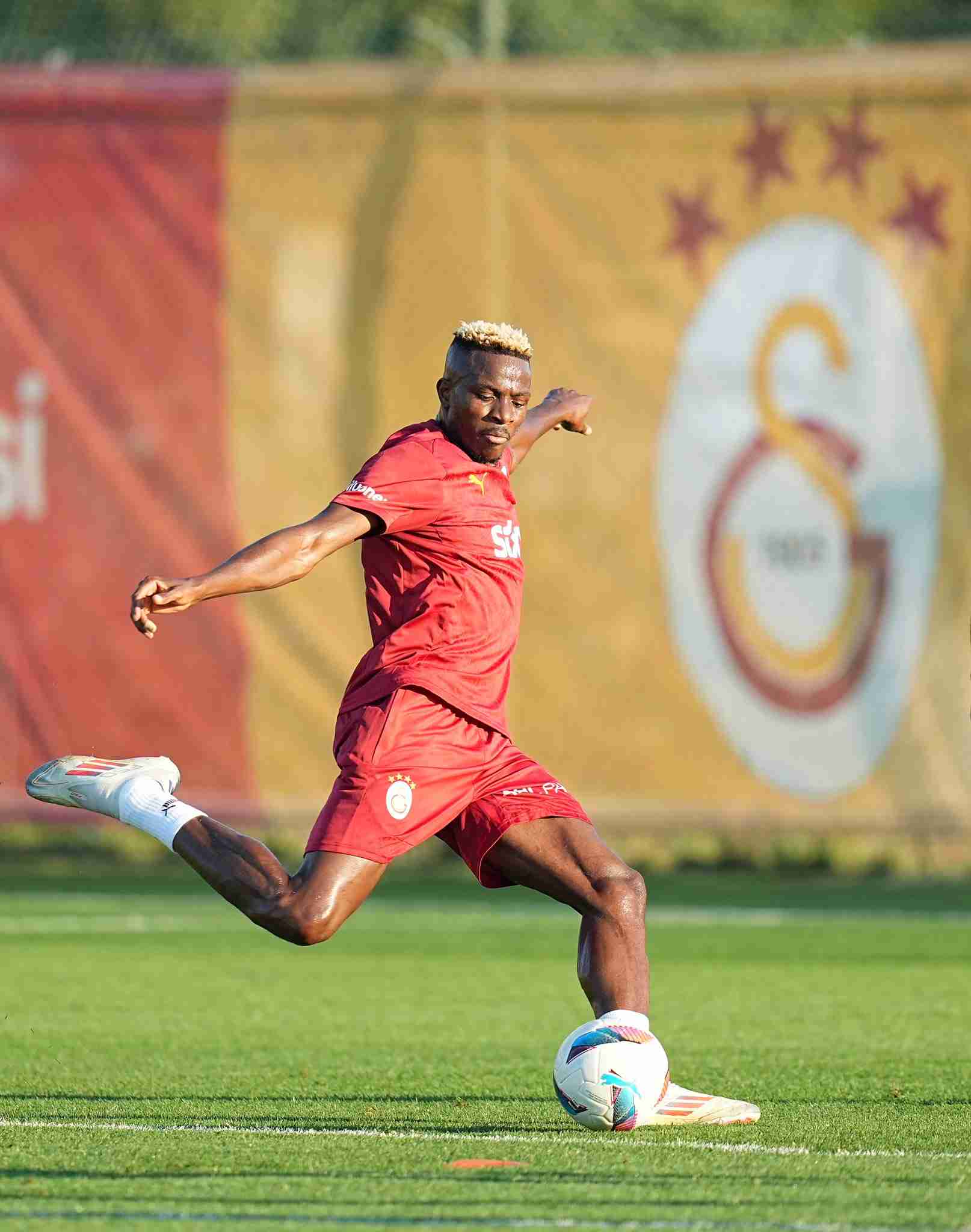 Why was Victor Osimhen not signed? PSG Sporting Director Luis Campos reveals 