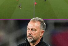 Barcelona's High Line in Acton