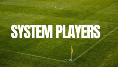 Are There Truly "System Players" in Football System Players Graphic
