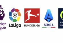 Top 5 Leagues Logos